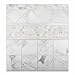 Bianco Carrara White Marble Honed 1