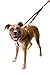 2 Hounds Freedom No-Pull Dog Harness Training Package: Velvet Padding, Multi-Function & USA Made! (Leash Included), Medium (1” Wide), Navy