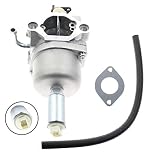 AUTOKAY Carburetor for Briggs & Stratton 591731 796109 594593 Carb