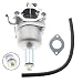 AUTOKAY Carburetor for Briggs & Stratton 591731 796109 594593 Carb
