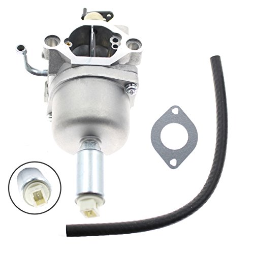 AUTOKAY Carburetor for Briggs & Stratton 591731 796109 594593 Carb