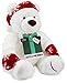 Amazon.com $200 Gift Card with a Holiday Teddy Bear - Limited Edition