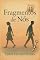 Livro Fragmentos de Nós