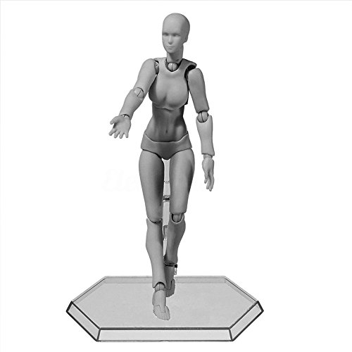Tulas Action Figure Model,Man/Women Mannequin Body Kun Doll Body-Chan Male & Female Action Figure DX Set with Accessories Kit, Suitable for Sketching, Painting, Drawing, Artist.
