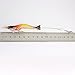 Goture Soft Lures Shrimp Bait Set Kit Lots For Freshwater Trout Bass Salmon