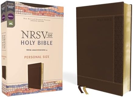 The Holy Bible, New Revised Standard Version: With Illustrations