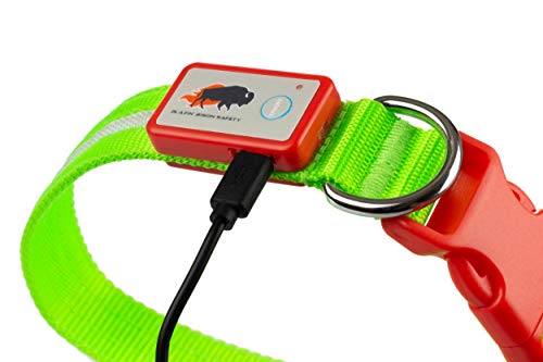 Blazin' Safety LED Dog Collar - USB Rechargeable with Water Resistant Flashing Light - Large Christmas