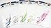 Jigging world 2 Pack Fluke Candy Teasers with 5/0 Hook
