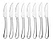 Bruntmor, ALBA Gourmet Stainless Steel 8-piece Steak Knife set with Full Tang Blades, Wooden Gift Box