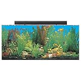 SeaClear 30 gal System II Acrylic Aquarium, 36 by