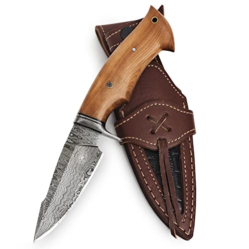 BIGCAT ROAR Handmade Damascus Hunting Knife