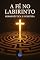 Livro Fé no Labirinto: Hermenêutica e incerteza (Coleção Filosofia Cristã Livro 7)