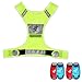 JQP Sports Running Vest and 4 LED Safety Light Set The Perfect Waterproof Running Light and Reflective Vest for Jogging Cycling Biking Strobe Light (L/XL)