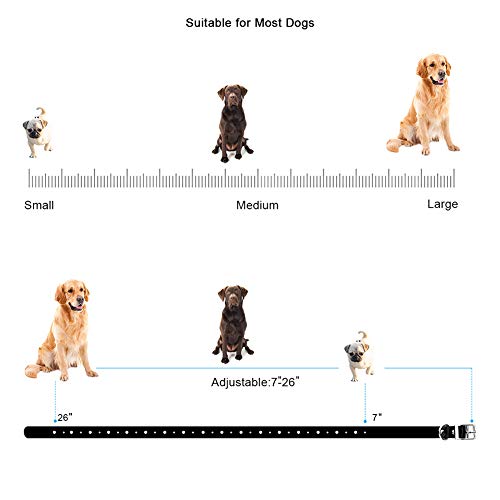 TTPet Inground/Aboveground Electric Dog Fence, Pet Containment System