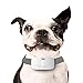 TUG Bark Collar | Rechargeable | Adjustable Modes - Static/Vibration/Sound | Waterproof (White)