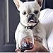 Drinking Divas Pardon My Frenchie Wine Glass - Stemless 15oz Wine & Cocktail| For Dog & French Bulldog Lovers | Cute & Funny Gift for Mom, Wife, Sister, Bestie, Women | Christmas, Birthday Present…