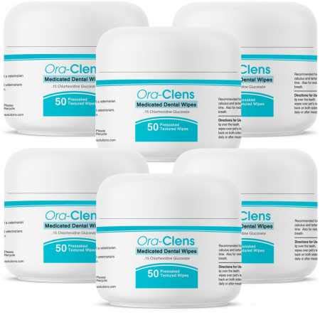 6PACK OraClens Dental Wipes (300 Count)