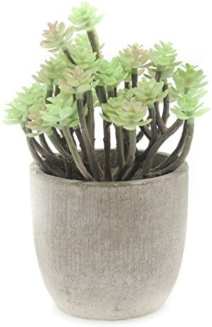 Velener Mini Home Decorations Artificial Succulents Plant with Pots