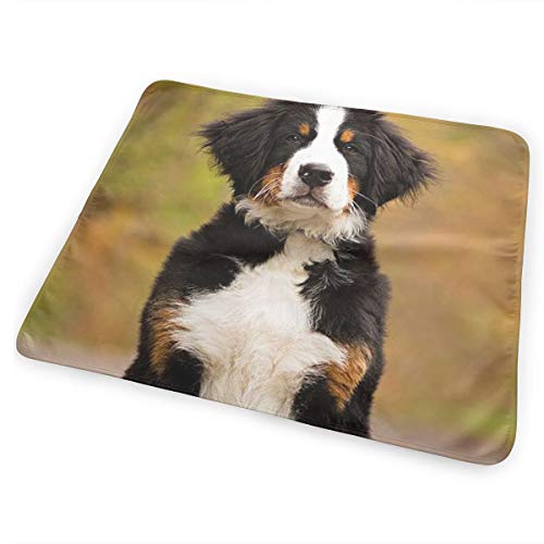 V5DGFJH.B Baby Portable Diaper Changing Pad Bernese Mountain Dog Urinary Pad Baby Changing Mat 31.5" x25.5''