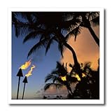 Danita Delimont Hawaii Tiki Torches Hawaii US12 DPB1421 Douglas Peebles 10x10 Iron on Heat Transfer for W