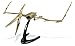 Geoworld Jurassic Eggs Pteranodon Skeleton Assembly Set