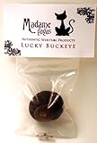 Lucky Buckeye