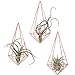 Mkono 3 Pack Wall Mounted Air Plant Holder Modern Geometric Planter Hanging Tillandisia Container Himmeli Home Decor, Rose Gold