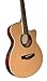 Carlo Robelli CRF550TBX BCEQ Thin Line Cutaway Acoustic Electric Guitar