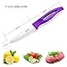 Jeslon Ceramic Knives Set,4 Peice Kitchen Chef's Knife and Peeler,Super Sharp & does not rust, Light Weight with Purple Ergonomic Handle