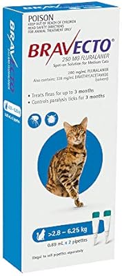 bravecto cats amazon