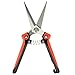 AOFU Classic Pruning Shears, Razor Sharp Bypass Secateurs - Premium Hand Pruner, Tree Trimmer, Gardening Shear, Garden Clippers with Ergonomic Too (RED)