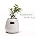 Modern Flower Pot, Ceramic Succulent Pots, 3 Inch Pots for Plants with Drainage, Set of 3 Plant Pots Indoor