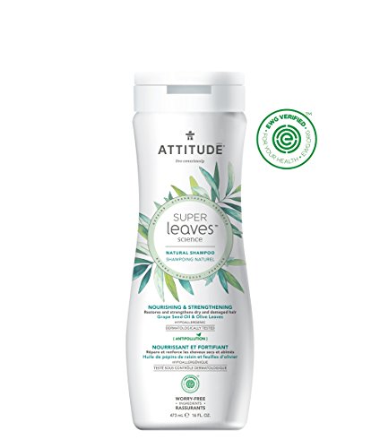 ATTITUDE Natural Shampoo for Dry, Damaged Hair: EWG Verified, Hypoallergenic & Dermatologist Tested - Super leaves Nourishing & Strenghtening (16 oz)