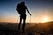 Red-Guru Collapsible Telescopic Trekking Poles - All Terrain Outdoor Trail Hiking/Walking Sticks | Height Adjustable for Men and Women | Sweat Absorbing EVA Grips | 1 Pair Black