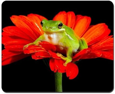 Red Flower and Frog Mousepad,Gaming Mouse Pad (10.2x8.2 inches)