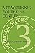 A Prayer Book for the 21st Century: Liturgical Studies Three (Liturgical Studies (Church Publishing) by 