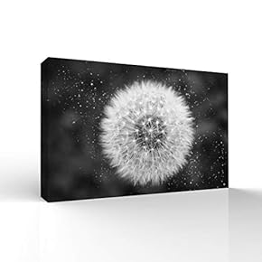 Canvas Wall Art Beautiful Flowers Pictures Home Wall Decorations for Bedroom Living Room Paintings Canvas Prints Framed - 12x18 inches