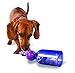PetSafe Busy Buddy Tug-A-Jug Meal-Dispensing Dog Toy Use with Kibble or Treats primary