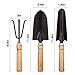 Garden Little Tool Sets - Wooden Handle Black Metal Gardening Tools Include: Trowels, Cultivator and Trans-Planter - Awesome for Family Use Growing Mini Succulent