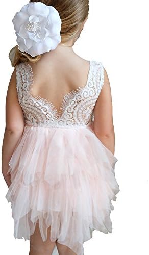 Flower Girl Dress - Lace with Pink or White Chiffon Tulle Tutu (6 Years, Pink)