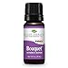 Plant Therapy Bouquet Essential Oil Blend 10 mL (1/3 oz) 100% Pure, Undiluted, Therapeutic Grade
