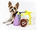 Midlee Birthday Present Find a Toy Dog Toy