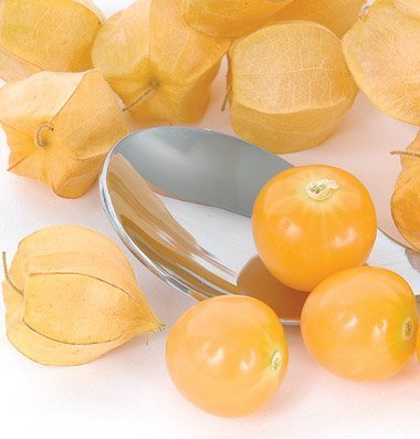 David's Garden Seeds Fruit Ground Cherry (Husk) Goldie D773TILLO (Yellow) 200 Organic Seeds David's Garden Seeds Fruit Ground Cherry (Husk) Goldie D773TILLO (Yellow) 200 Organic Seeds