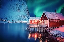 CHNYWORK 12ftx8ft Winter Night Landscape Backdrop