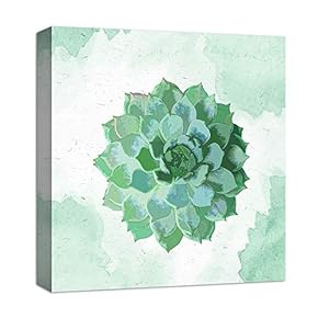 Lush Green Single Succulent - Canvas Art