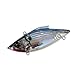 Bill Lewis Lures Lifelike Rat-L-Trap Magnum Force Lipless Crankbait Fishing Wobble Lure for Shallow Freshwater, LECTRIC SILVER