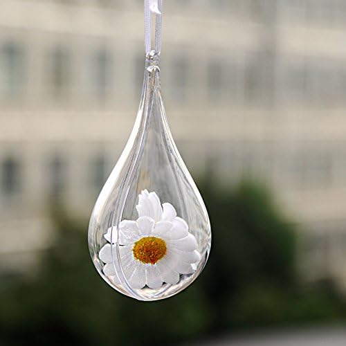 Alicemall Water 10 Packs Round Bath Bomb Mold Plastic Balls Christmas Baubles Clear Fillable Xmas Tree Ornaments Decoration(water-10cm)