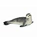Schleich Seal