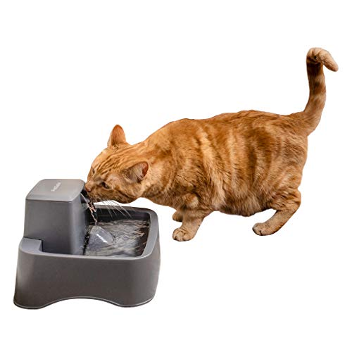 PetSafe Drinkwell Original or 1/2 Gallon Pet Water Fountain Drinking