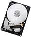 HGST Deskstar 3.5-Inch 2TB 7200RPM SATA II 32MB Cache Internal Hard Drive (0F10311)